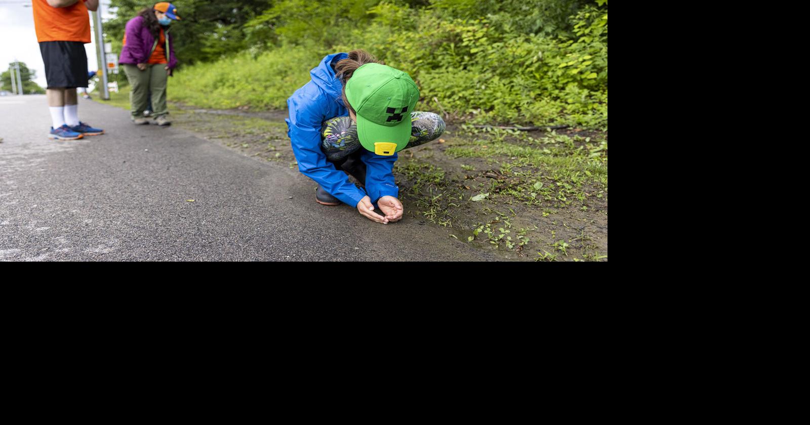 Helping baby toads is their labor of love | Lifestyles ...