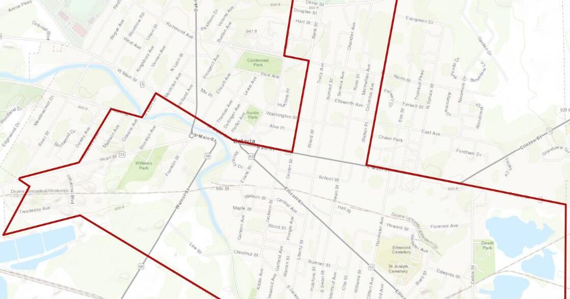 Tree maintenance and removal planned in Batavia
