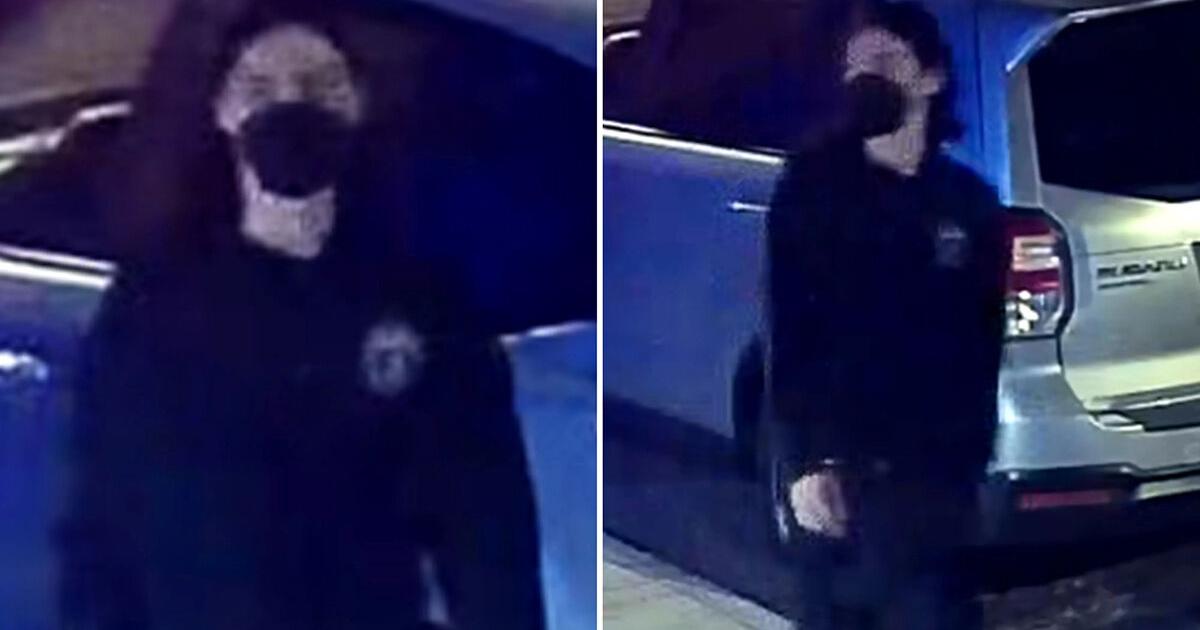 Pics released of pro-Palestine protesters wanted for vandalizing home of Brooklyn Museum director - Vimarsana News