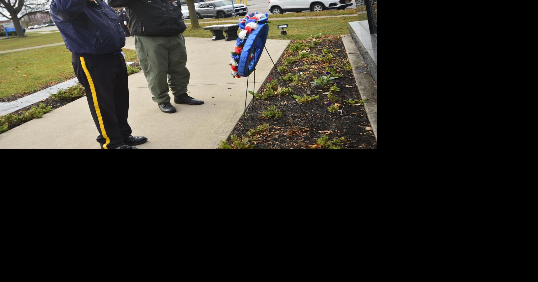 Veterans day news stories