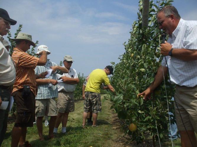 Lake Ontario fruit growers share tips News