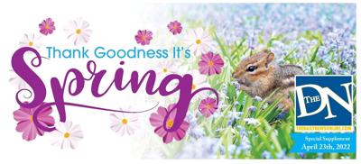 TGI Spring banner