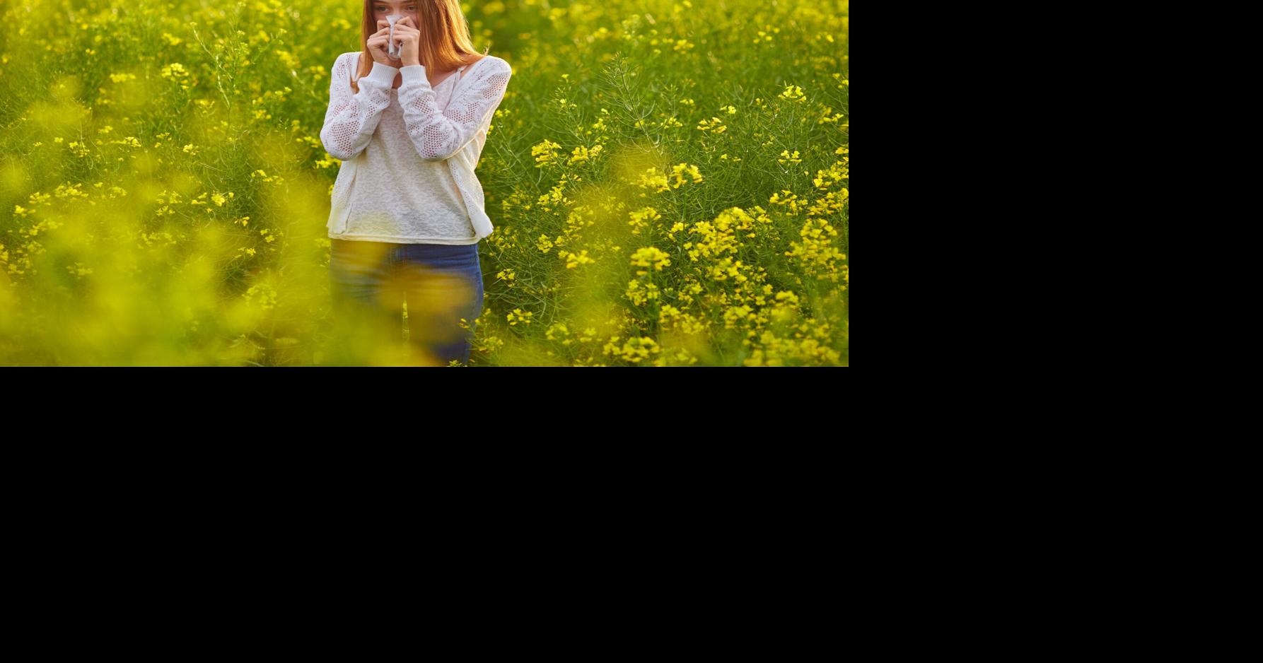 Why does pollen make you miserable? Here’s why, and some help for