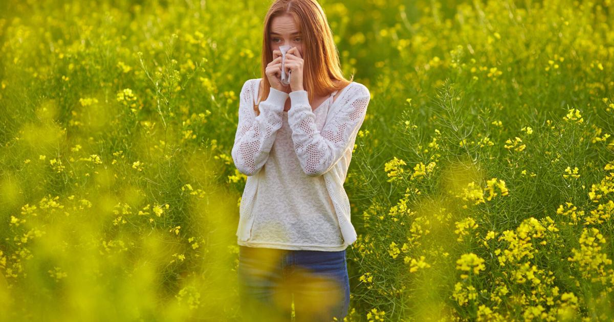 Why does pollen make you miserable? Here’s why, and some help for ...