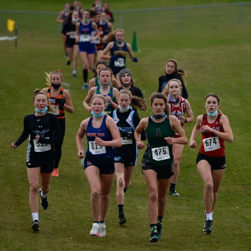 GIRLS CROSS-COUNTRY: Pavilion’s Wolcott captures second sectional title ...