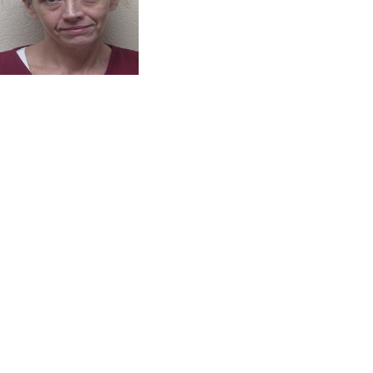 Rochester woman faces impersonation charge in Perry, gun and drug ...