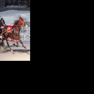 HARNESS RACING: Buffalo Raceway cancels 14-race program on Wednesday ...