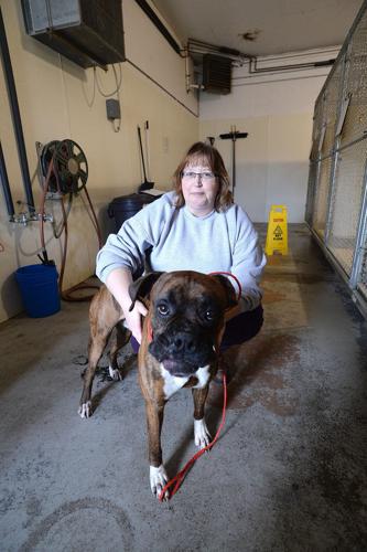 Wyoming dog shelter aims to upgrade | News 