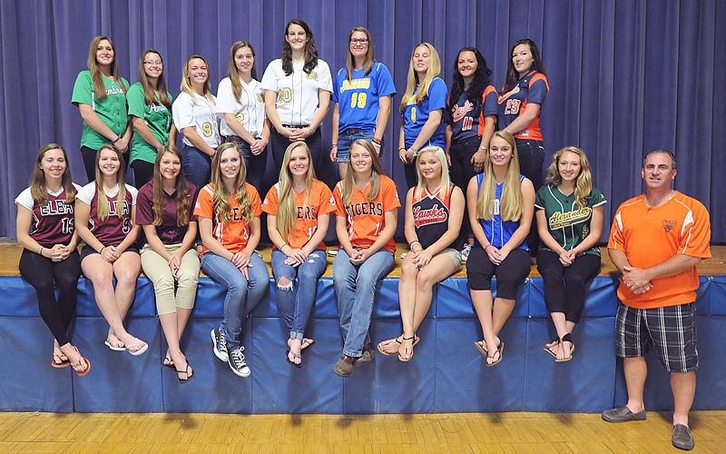 SOFTBALL ALL-STARS: Norton's sectional title rewarded, Local Sports