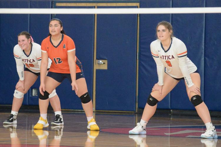 SECTION V VOLLEYBALL Attica, Letchworth and Alexander all survive five