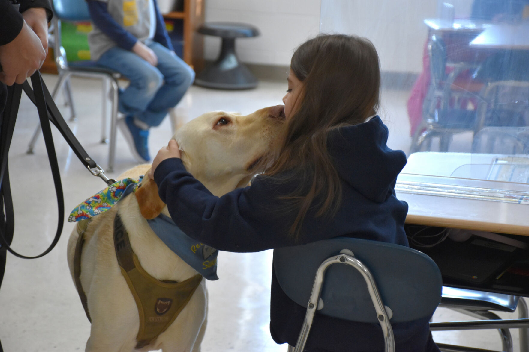 American kennel outlet club therapy dog