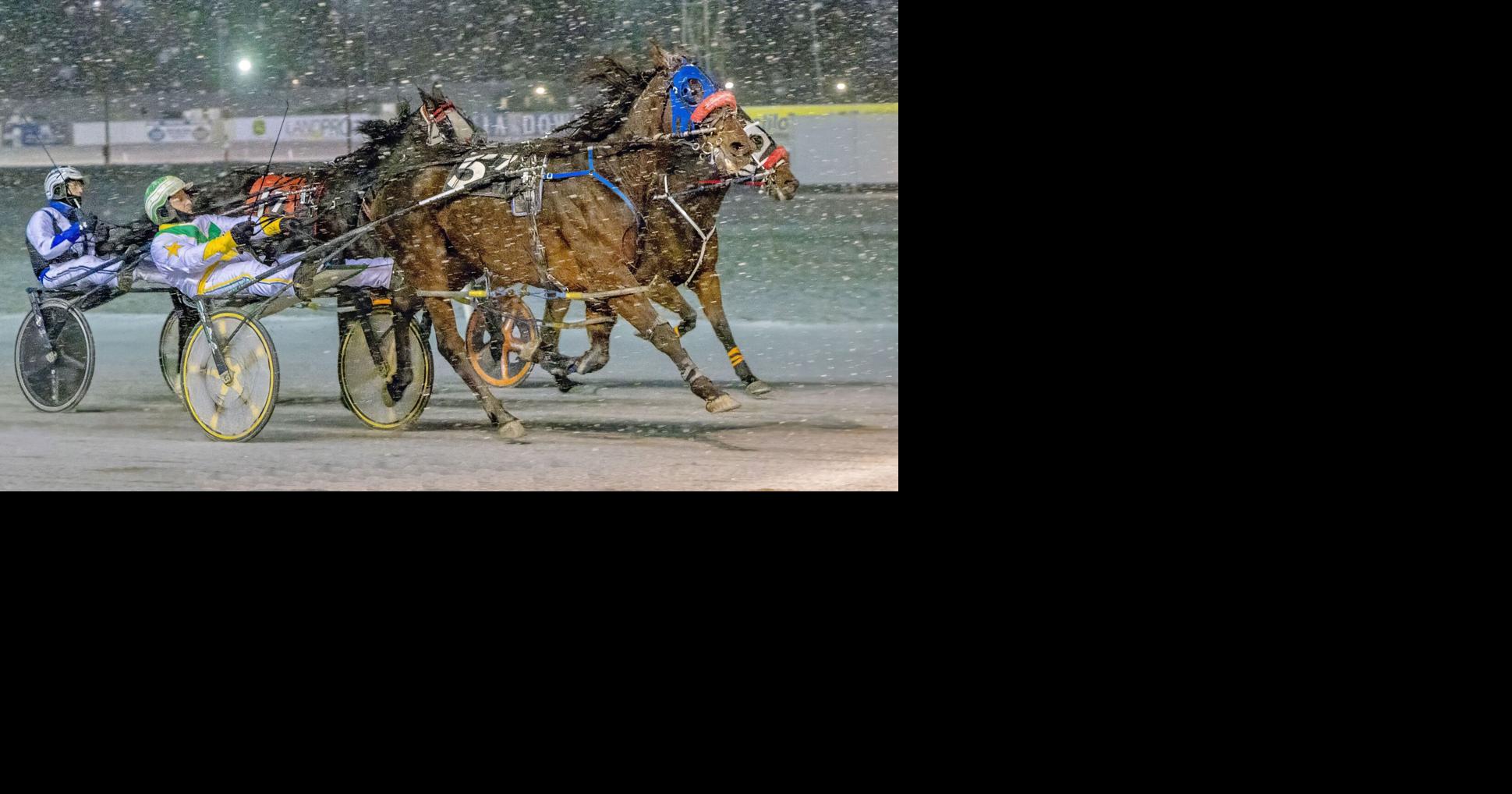Batavia Downs starts winter racing session Monday | Sports ...