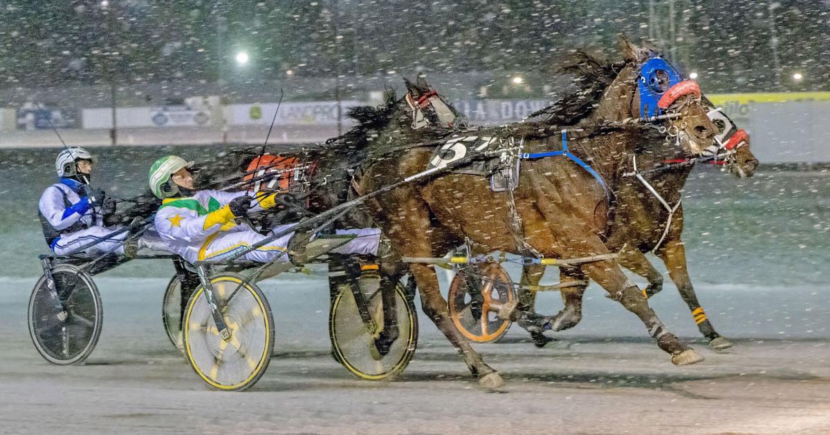 Batavia Downs starts winter racing session Monday | Sports ...