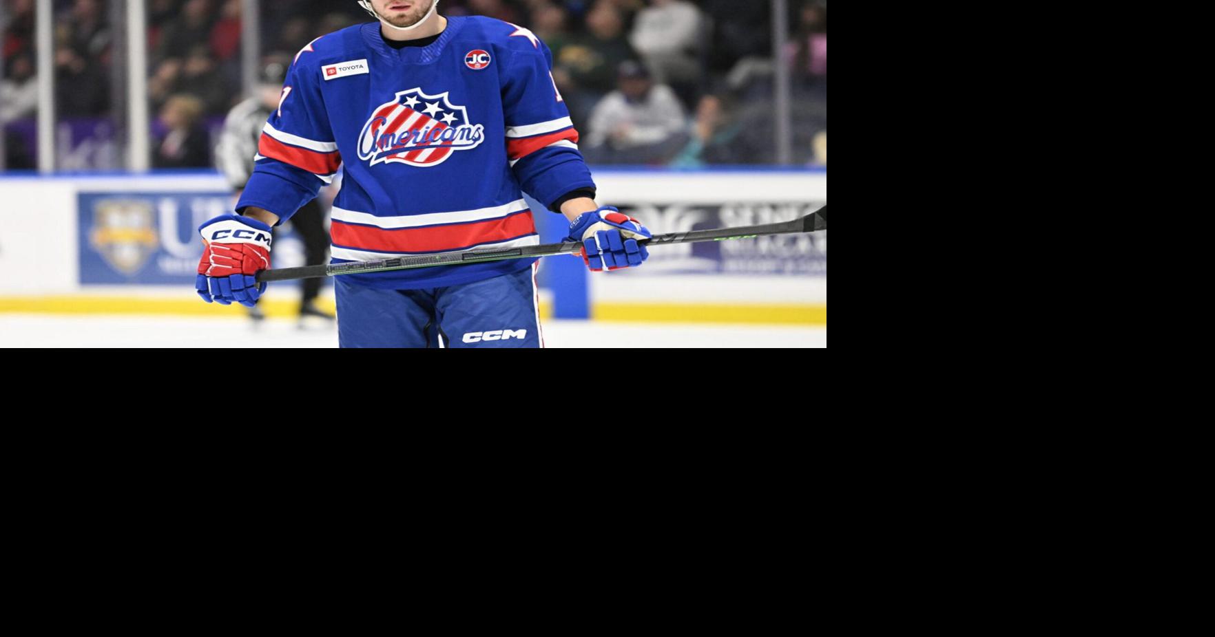 Sabres sign Rousek to two-year contract | Sports | thedailynewsonline.com