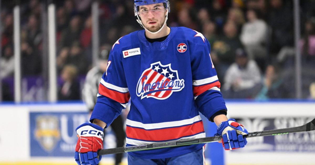 Sabres sign Rousek to two-year contract | Sports | thedailynewsonline.com