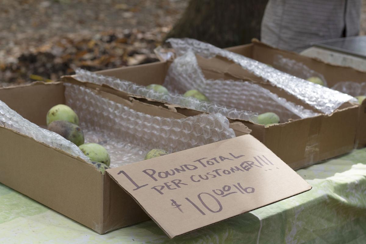 Paw Paws were available for customers to purchase and take home.