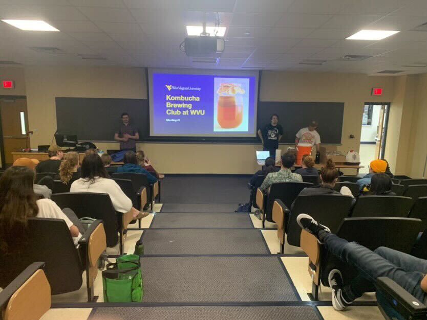 Kombucha club (use)
