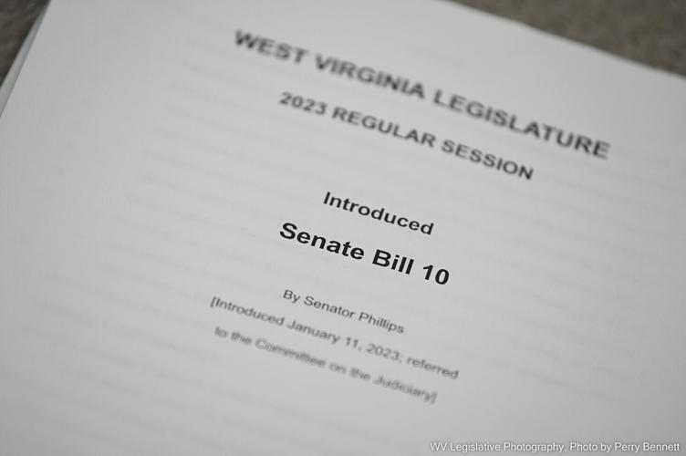 SB 10