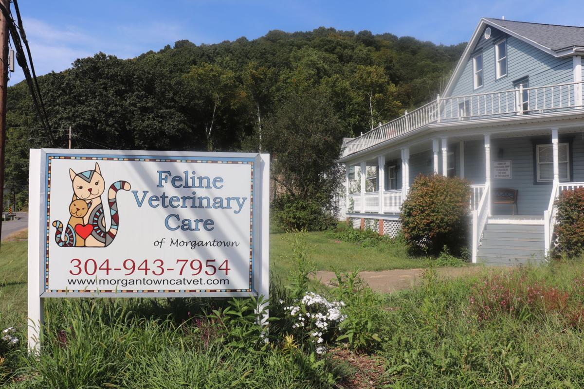 Felinefocused practice puts cats in the forefront