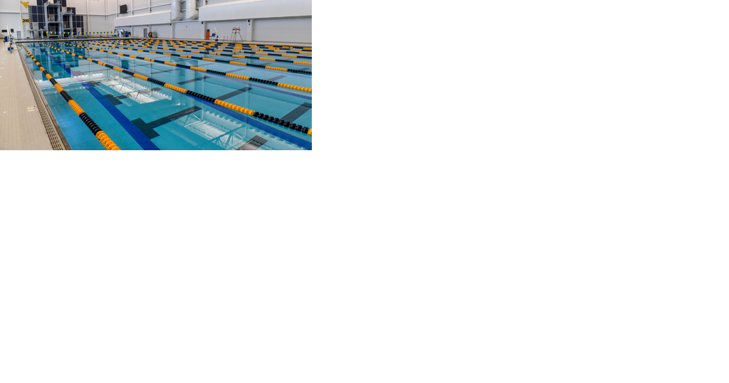 Mylan Park Aquatic Center could host 2024 Olympic Diving Trials - Vimarsana News