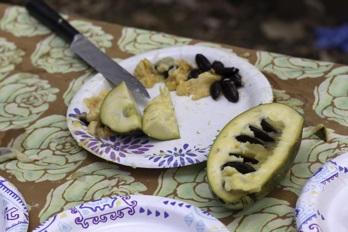 A cut up Paw Paw fruit.