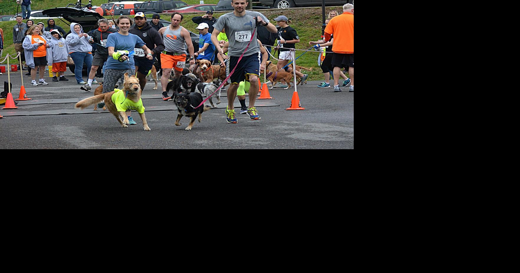 Pet Helpers hosts 3rd annual “Bark in the Park” 5k run, walk and ...