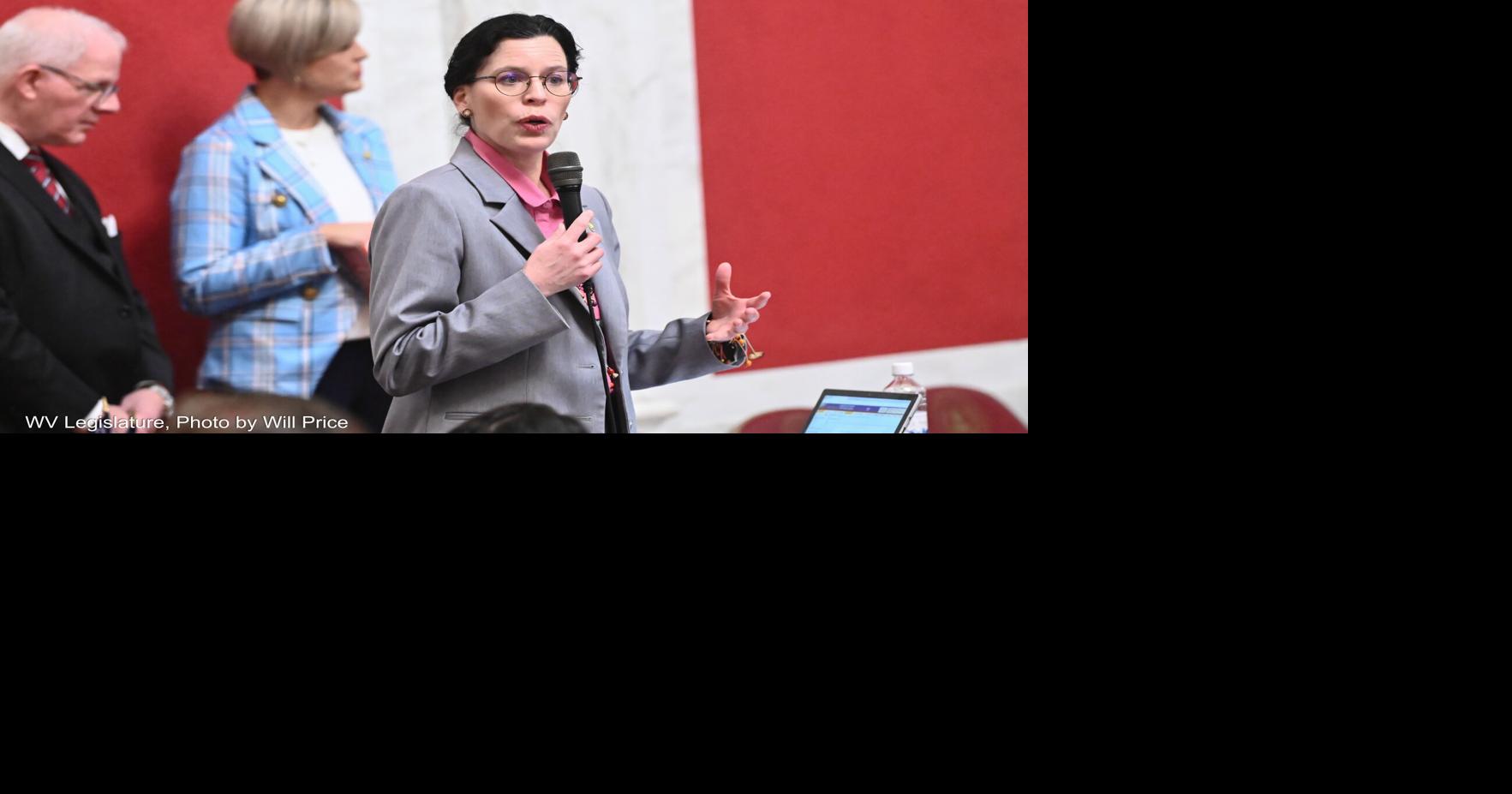 WV Senate Bill requires voters to have 'intent to stay' | WVU News ...
