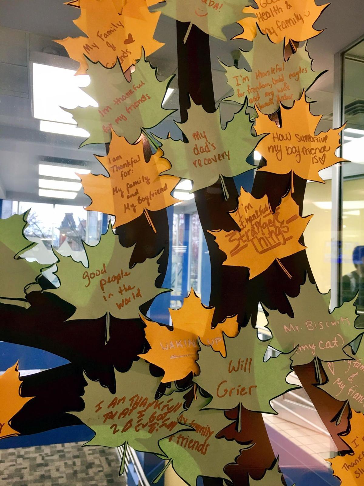 "Thankful Tree" displays WVU students gratitude | Arts & Entertainment