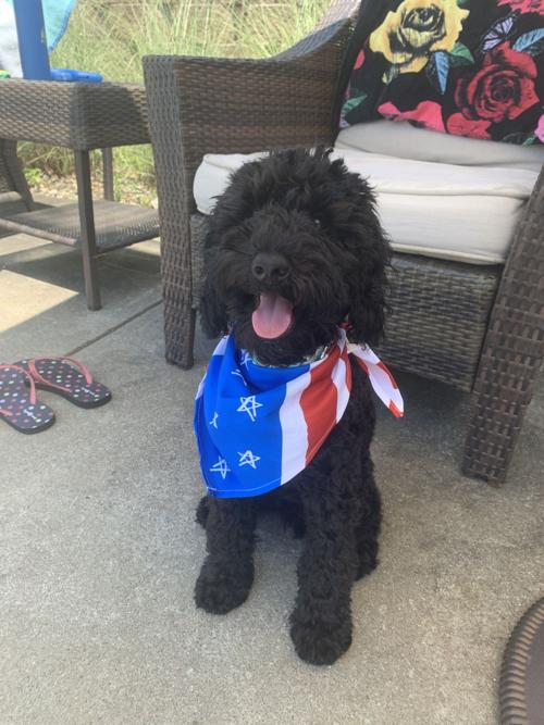 Pet of the Day: Leo