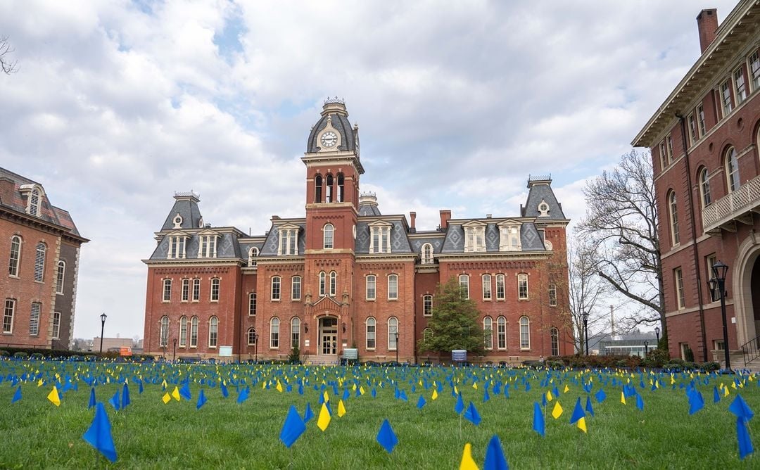 Flags in front of woodburn