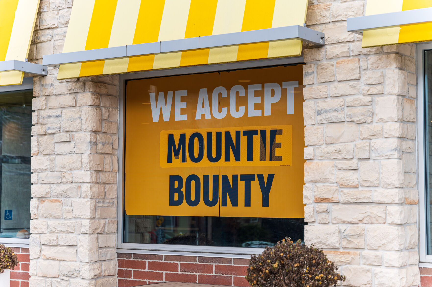 mounty bounty balance