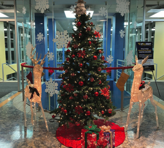 A Christmas tree sits near the entrance of the Mountainlair.
