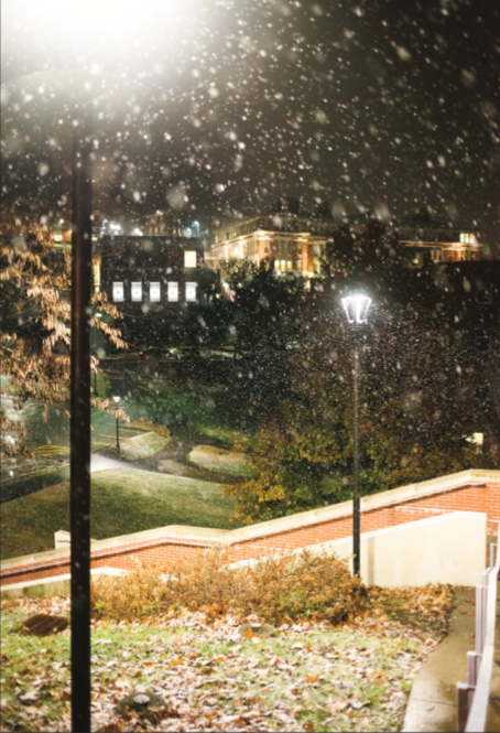 Street lights outside of the Life Sciences Building as snow falls on Dec. 3, 2019.