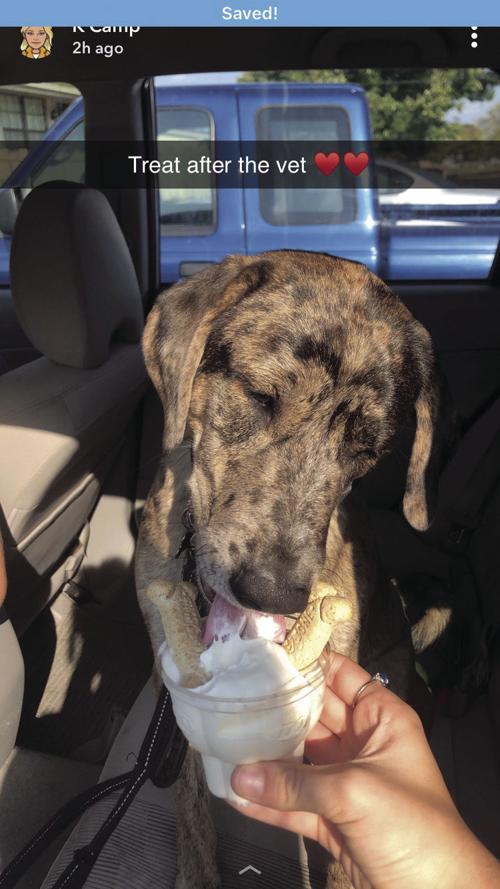 Pet of the Day: Axel