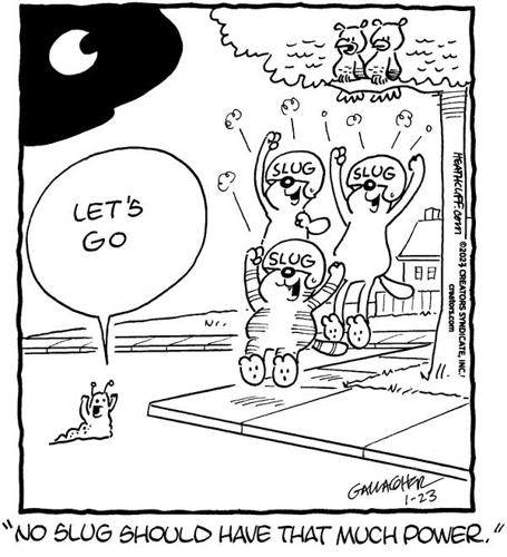 Heathcliff