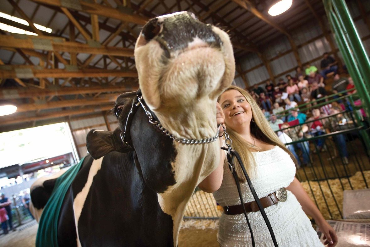 Venango County Fair Featured