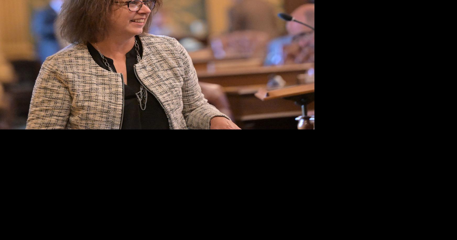 Michigan House's $75.8 billion budget makes cuts in most departments, slashes UM, MSU funding