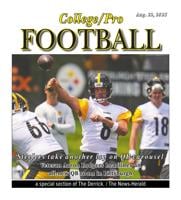College/Pro Football