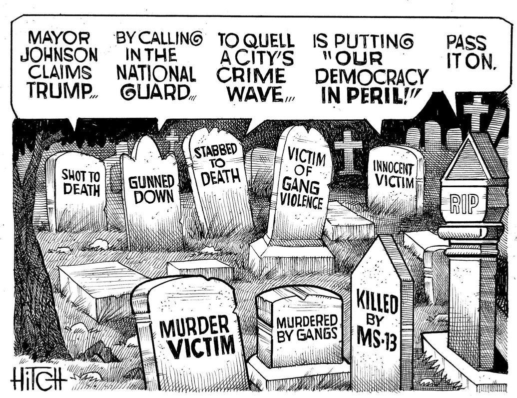 Wit of the Draw Opinion thederrick com