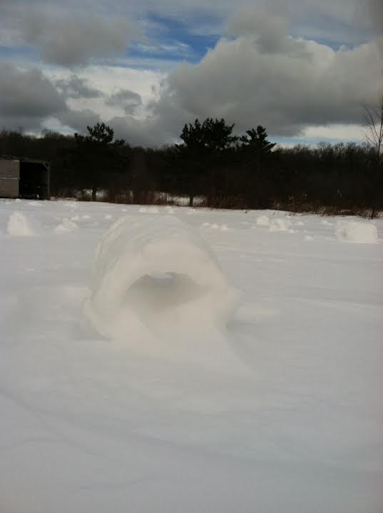 Snow rollers News
