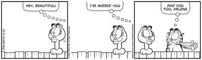 Garfield Why Garfield | Entertainment | thederrick.com