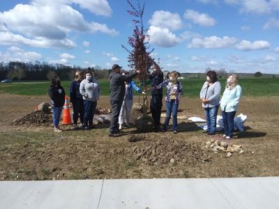 3 trees planted at hospital