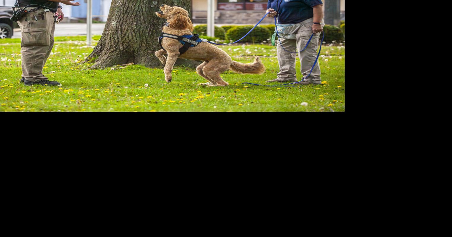 A real nose for it; dogs, handlers develop skills during summit at Two ...