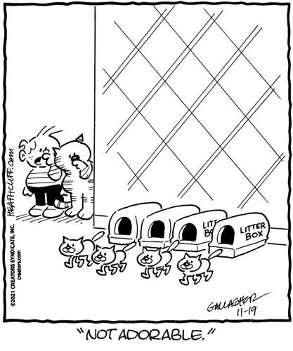 Heathcliff | Entertainment | thederrick.com