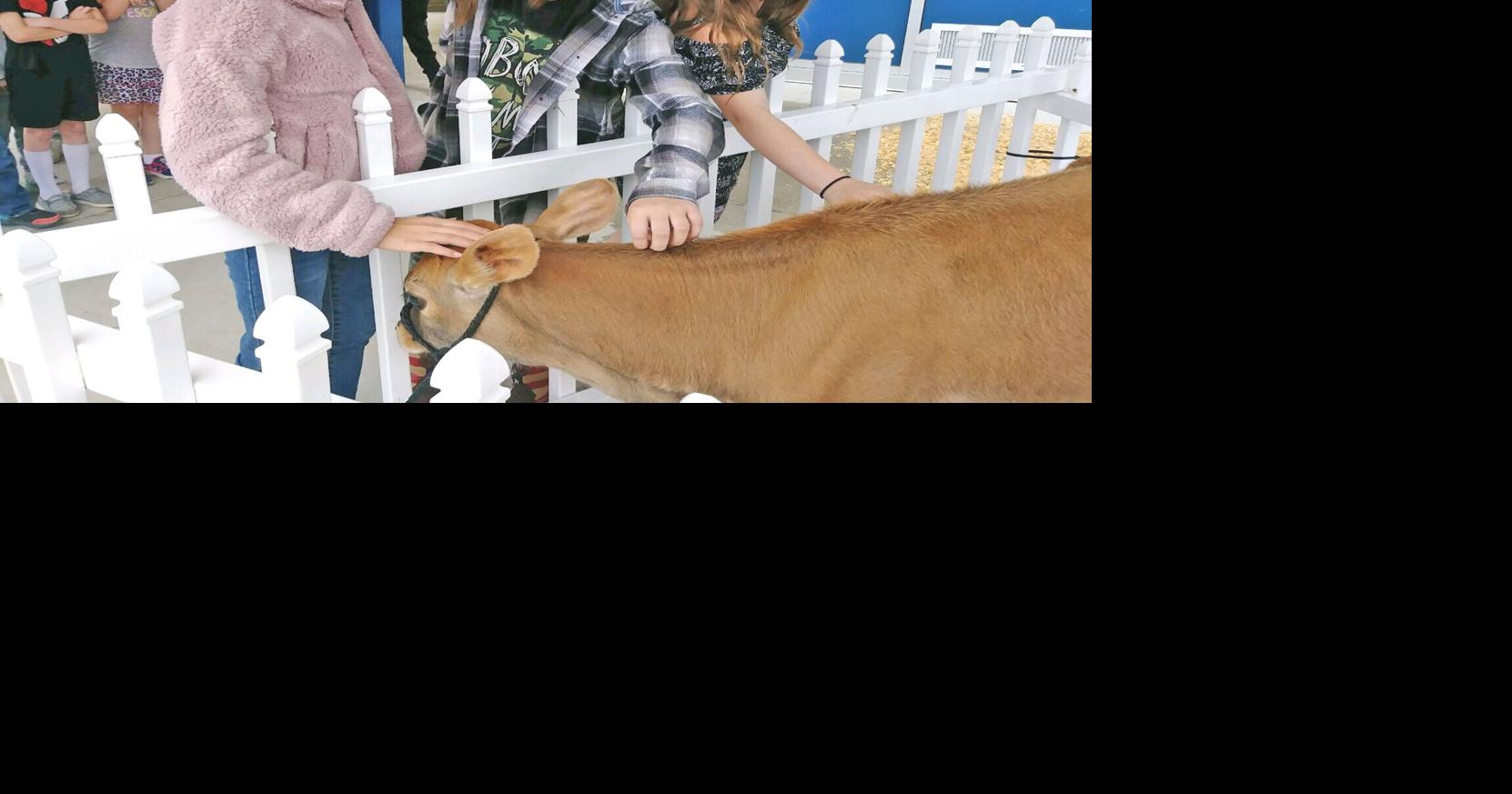 Hasson Heights Elementary students enjoy career day Front Page