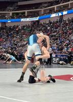 GC's Hohman settles for silver; Cranberry's Wenner, McFetridge place 7th
