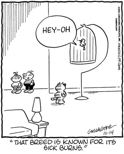 Heathcliff