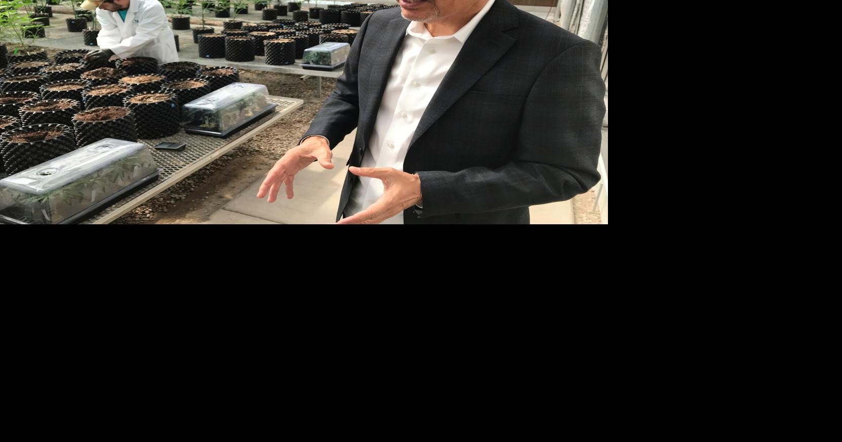 Cannabis entrepreneur Duke Rodriguez joins the race for New Mexico governor