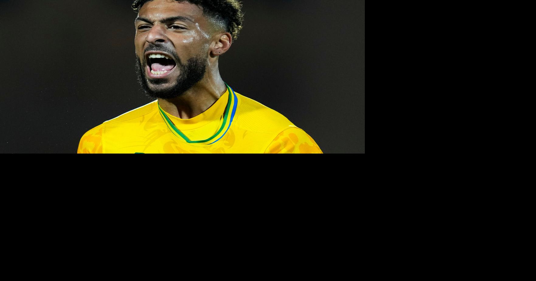 Gabon's government appears to have suspended national team and fired staff after poor Africa Cup