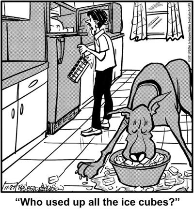 Marmaduke